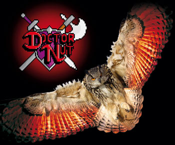 Doctor Nut Logo & Owl
